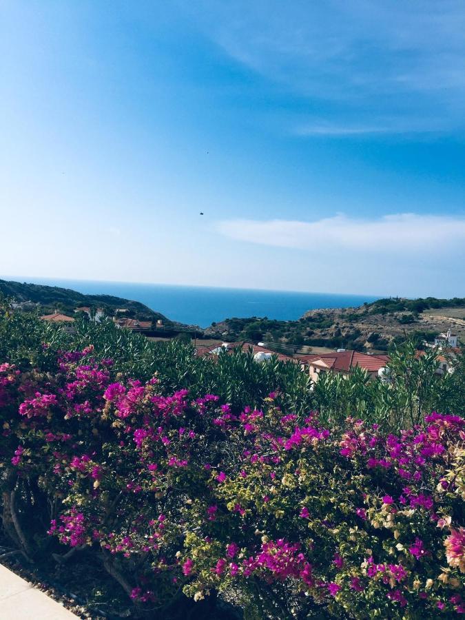 Pissouri Villa Miramar Kültér fotó